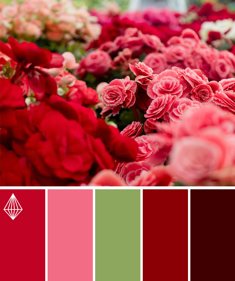 flower market color scheme