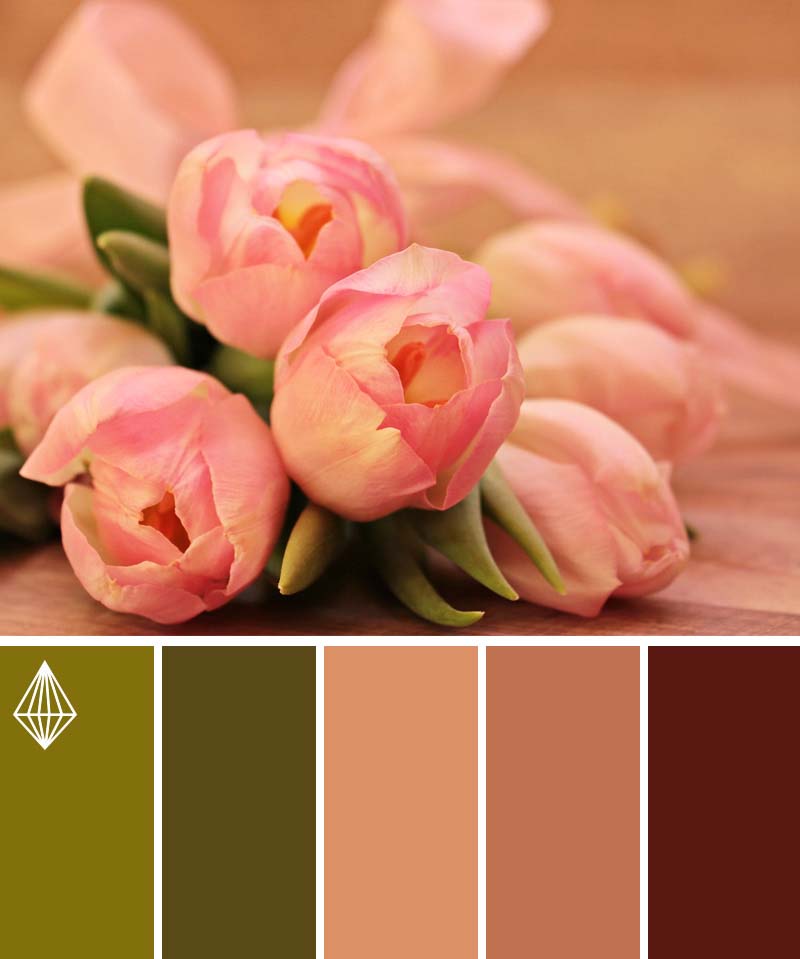pink roses color scheme