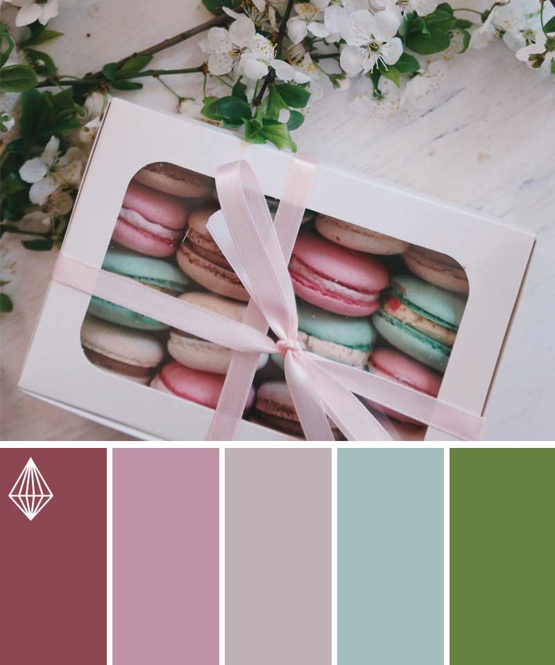 box of macaroons color scheme