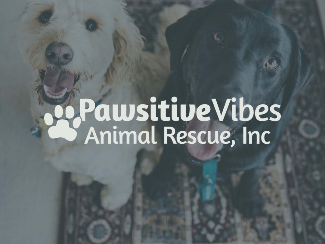 Pawsitive Vibes Animal Rescue, Inc